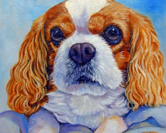 King charles painting by numbers.jpeg