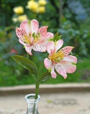 Lily of the incas painting by numbers.jpeg