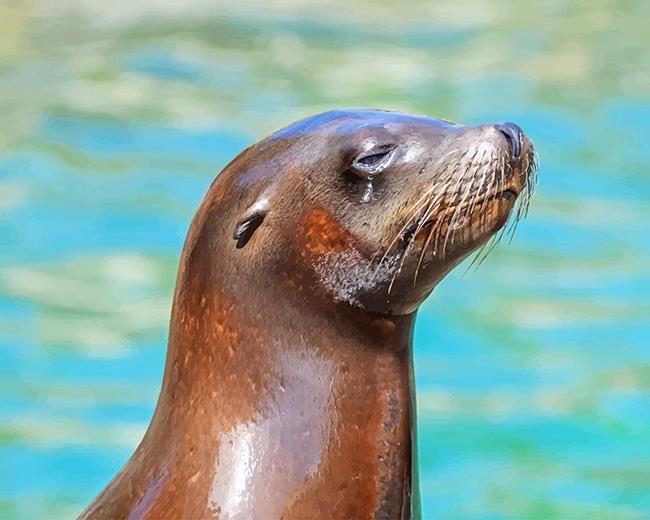 Lovely otter painting by numbers.jpeg