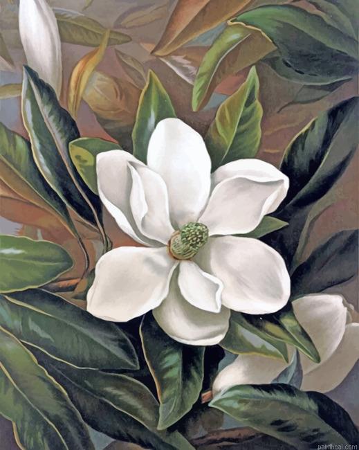 Magnolia flower painting by numbers.jpeg