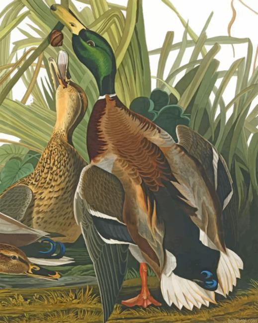 Mallard ducks painting by numbers.jpeg