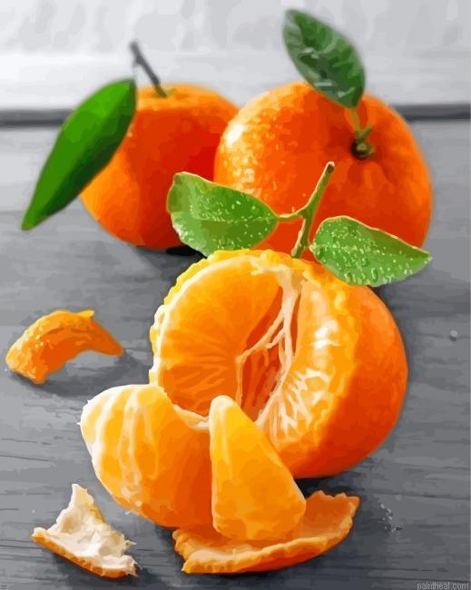 Mandarine fruit painting by numbers.jpeg