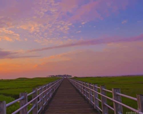 Marsh boardwalk painting by numbers.jpeg
