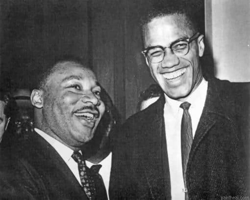 Martin luther king and malcolm x painting by numbers.jpeg