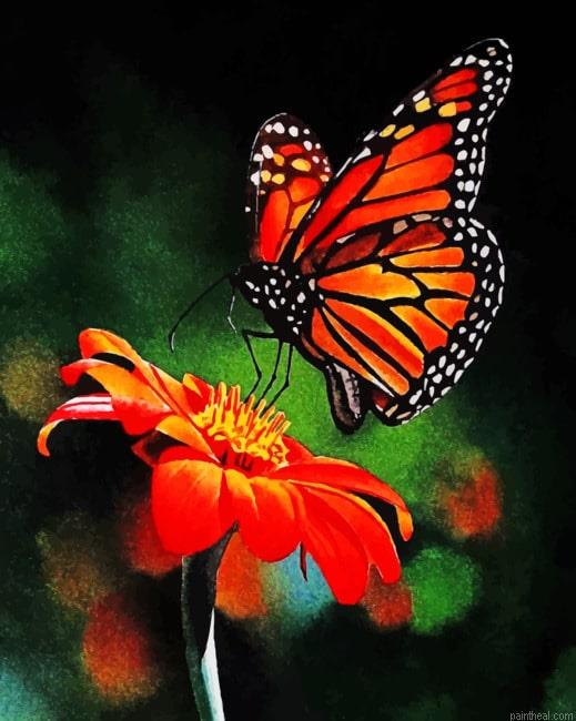 Monarch butterfly on flower painting by numbers.jpeg