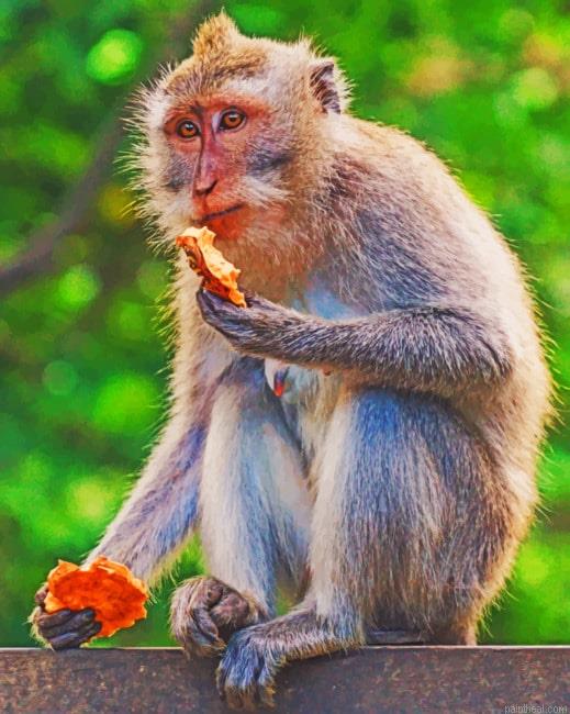 Monkey in the forest painting by numbers.jpeg