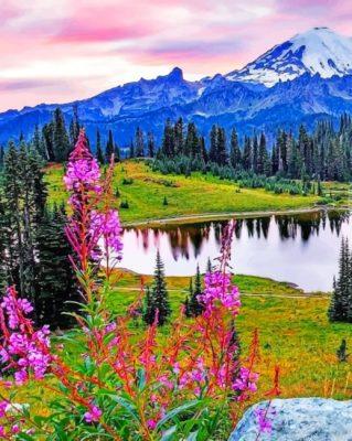 Mount rainier national park painting by numbers.jpeg