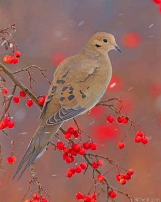 Mourning dove painting by numbers.jpeg
