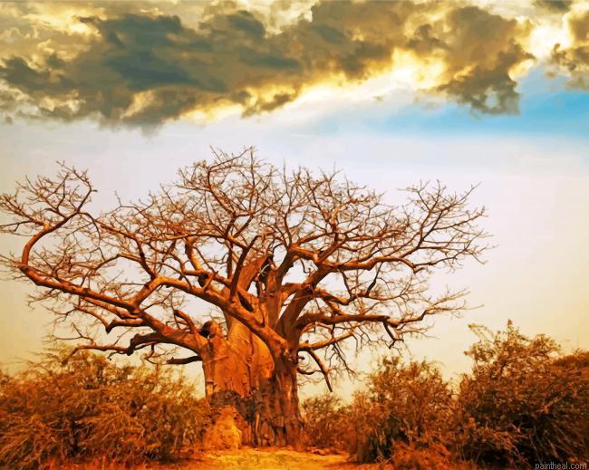 Oldest baobab tree painting by numbers.jpeg