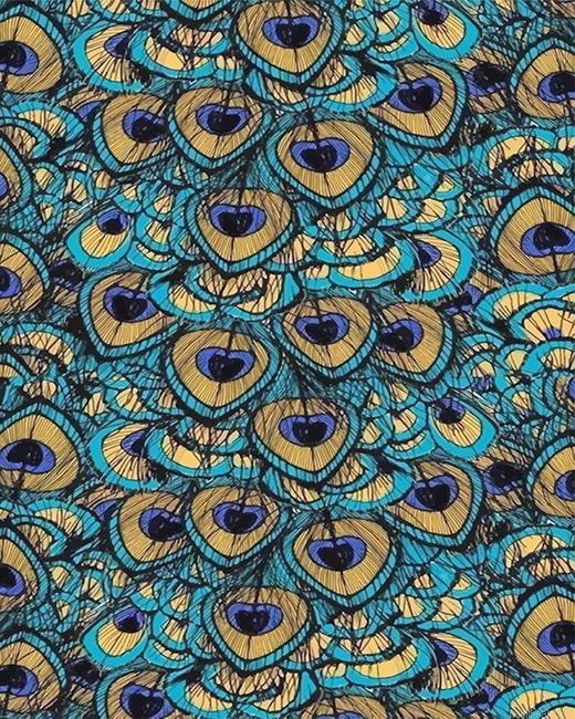 Peacock feather painting by numbers.jpeg