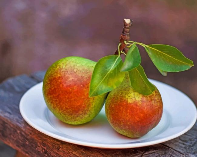 Pears fruits with leaves painting by numbers.jpeg