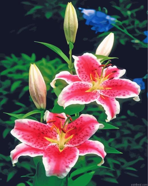 Pink tiger lilies painting by numbers.jpeg