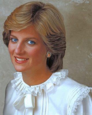 Princess diana painting by numbers.jpeg