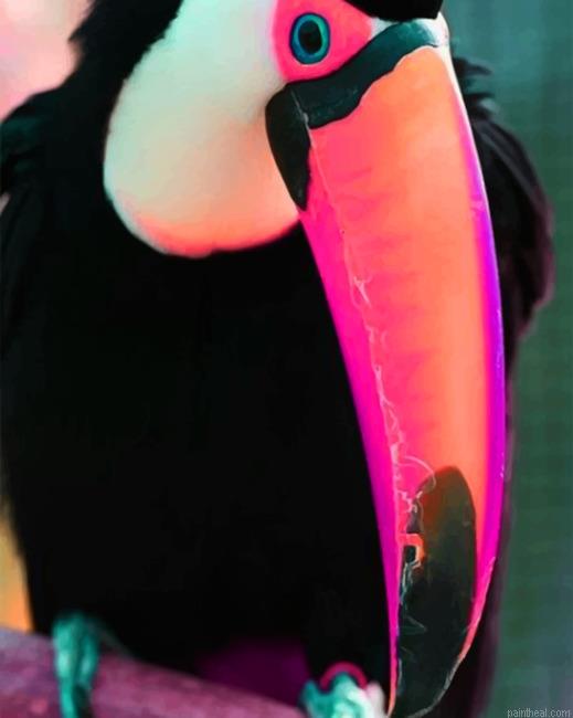 Puffin painting by numbers.jpeg