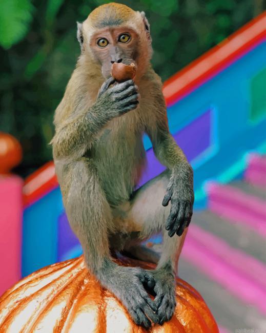 Rhesus macaque painting by numbers.jpeg