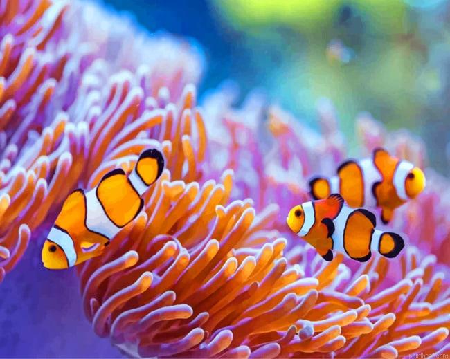 Sea anemones painting by numbers.jpeg