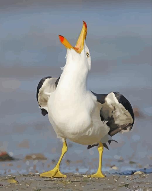Seagull painting by numbers.jpeg