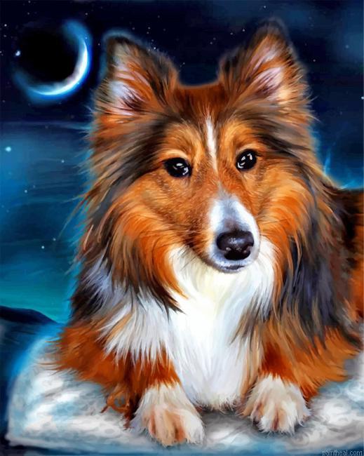Sheltie dog painting by numbers.jpeg