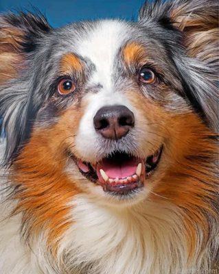 Sheltie pet painting by numbers.jpeg