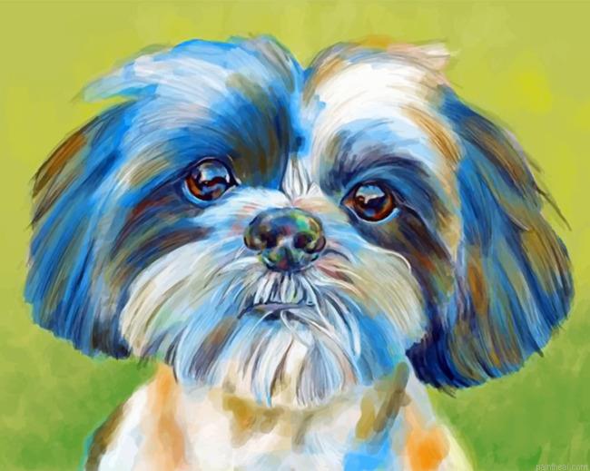 Shih tzu pet painting by numbers.jpeg