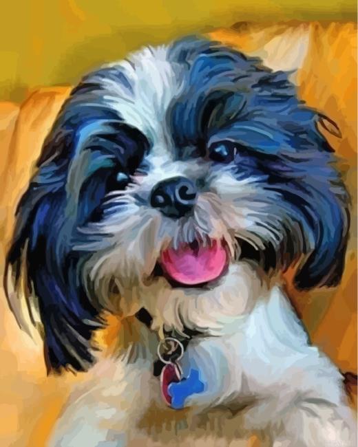 Shih tzy dog painting by numbers.jpeg