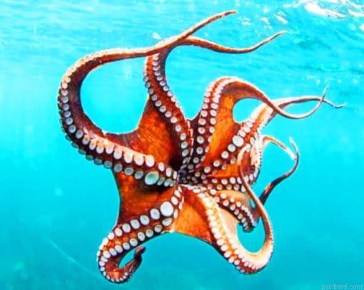 Smoothskin octopus painting by numbers.jpeg