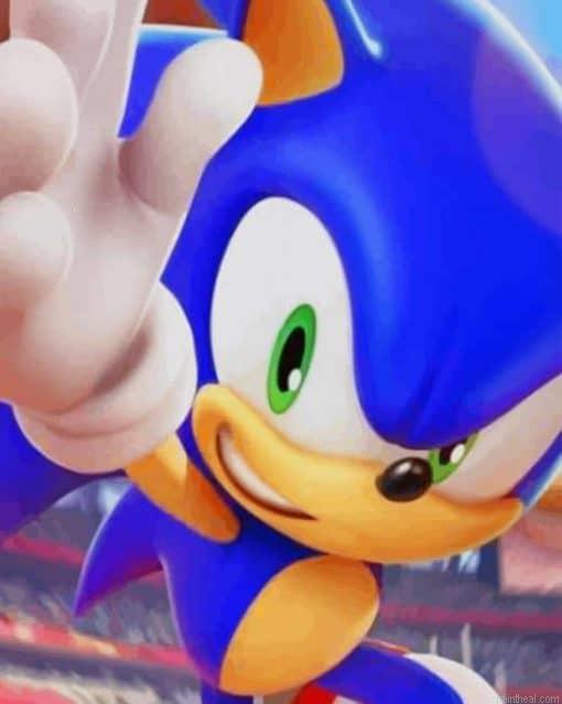 Sonic at the olympic painting by numbers.jpeg