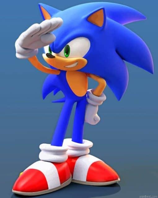 Sonic hedgehog painting by numbers.jpeg