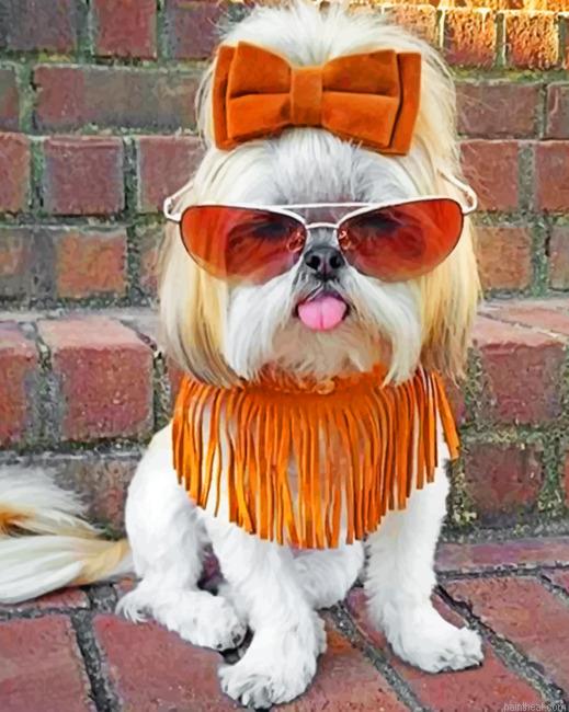Stylish shih tzu painting by numbers.jpeg