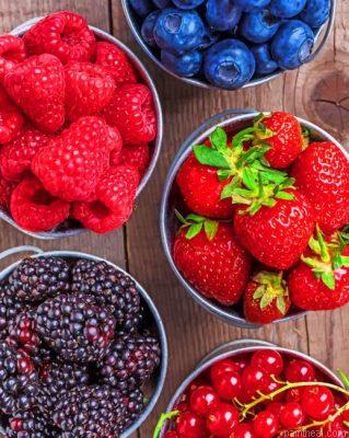 Summer fruits painting by numbers.jpeg