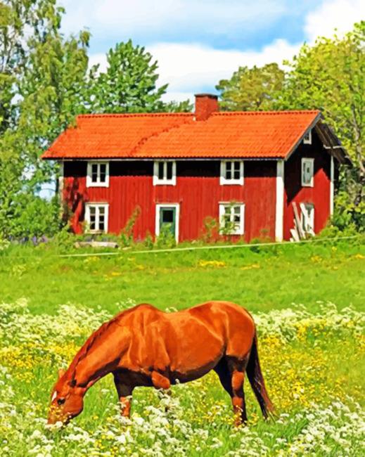 Sweden farm painting by numbers.jpeg