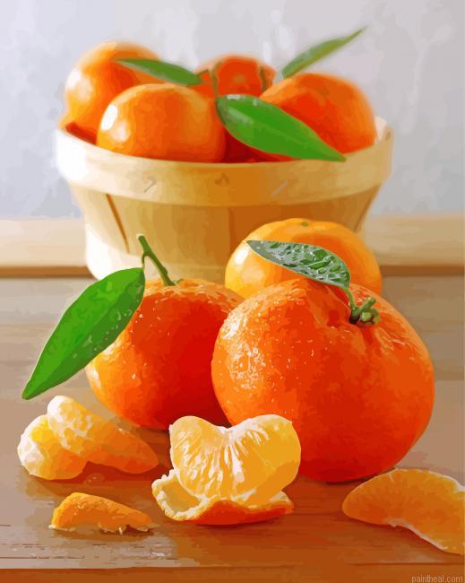 Sweet mandarine fruit painting by numbers.jpeg