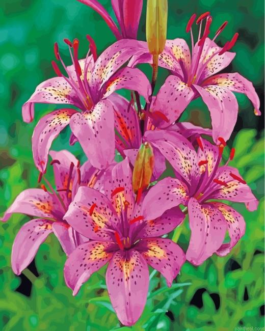 Tiger pink lilies painting by numbers.jpeg