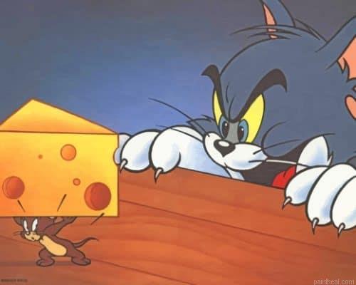 Tom and jerry cartoon painting by numbers.jpeg
