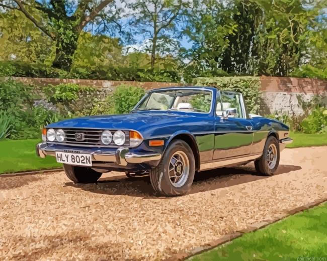 Triumph stag painting by numbers.jpeg
