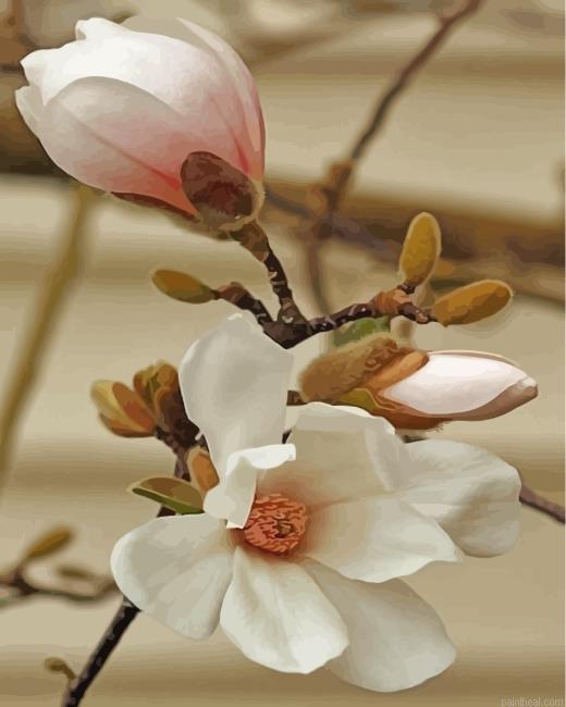 White magnolia flower painting by numbers.jpeg