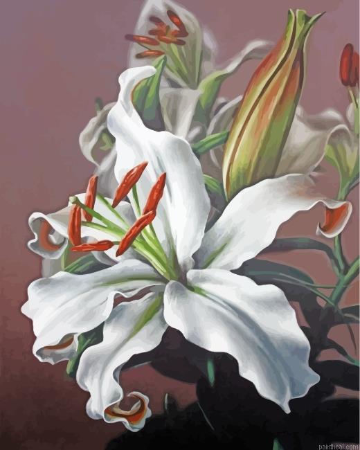 White magnolia painting by numbers.jpeg