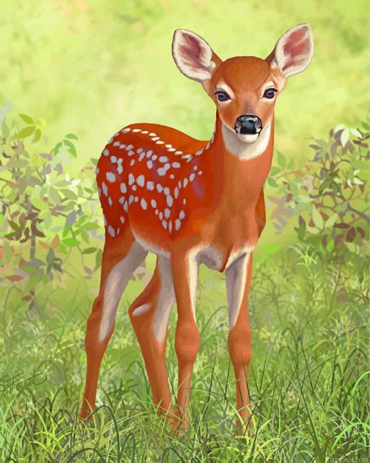 White tailed deer painting by numbers.jpeg