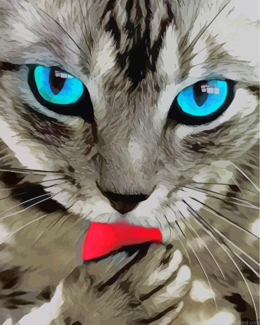 Aesthetic cat painting by numbers.jpeg
