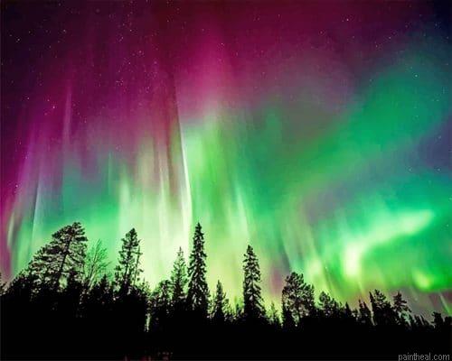Aurora borealis trees silhouette painting by numbers.jpeg