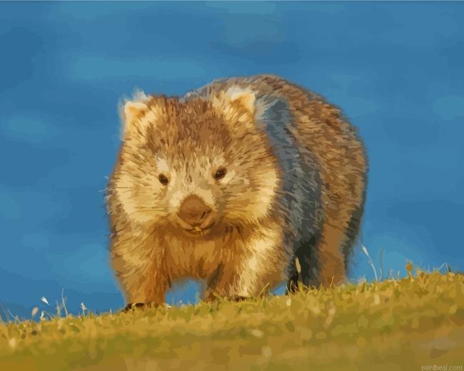 Australia wombat painting by numbers.jpeg