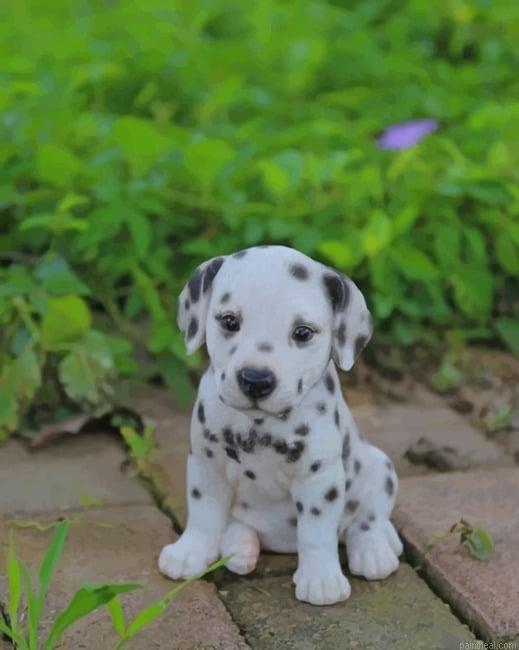Baby dalmatian painting by numbers.jpeg