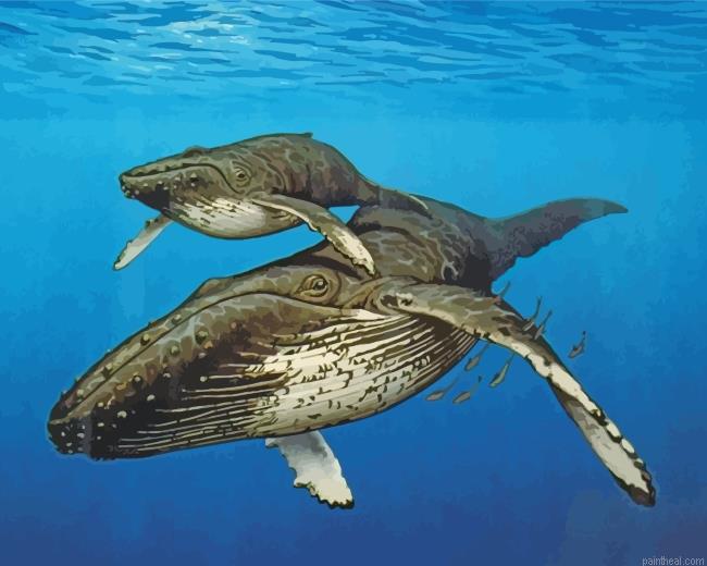 Big whales painting by numbers.jpeg