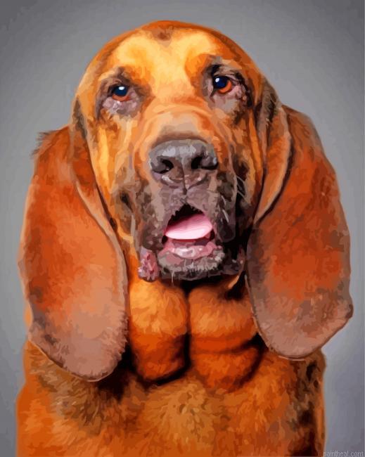 Bloodhound dog painting by numbers.jpeg