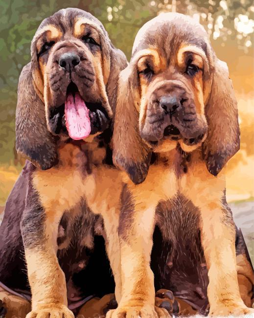 Bloodhound puppies painting by numbers.jpeg