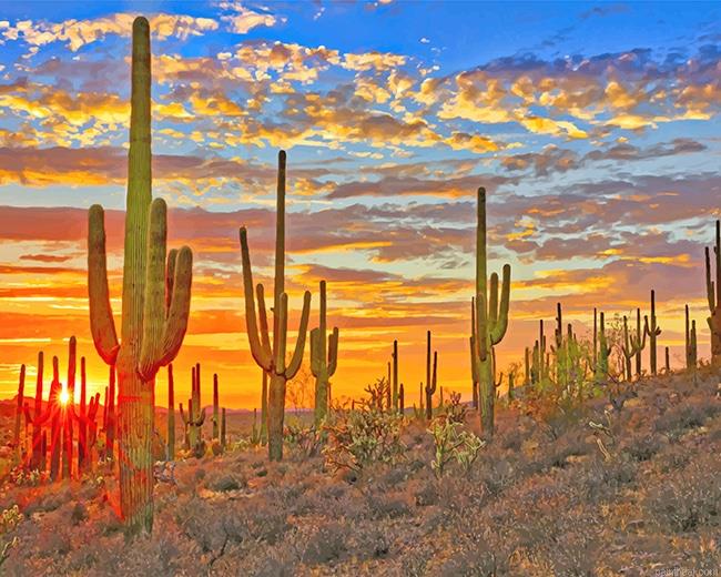 Cactus arizona painting by numbers.jpeg