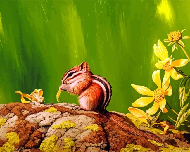 Colorado chipmunk painting by numbers.jpeg