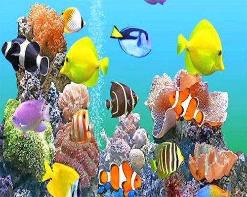 Colorful deep sea fishes painting by numbers.jpeg