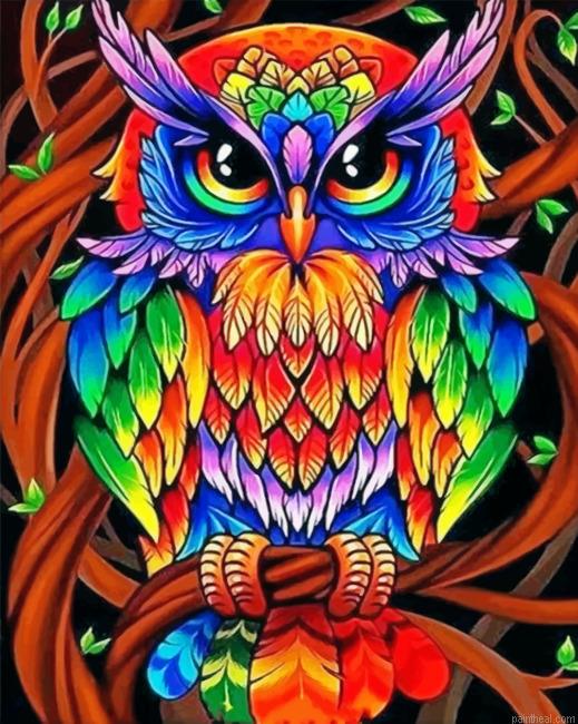 Colorful owl painting by numbers.jpeg
