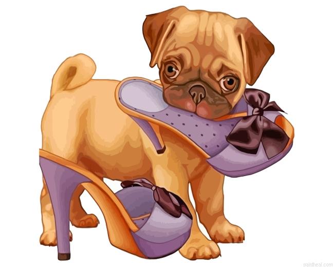 Cute pug painting by numbers.jpeg